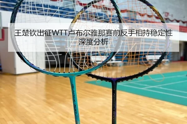 王楚钦出征WTT卢布尔雅那赛前反手相持稳定性深度分析